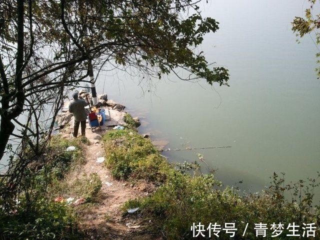 鲤鱼|百里寻鱼“焉知非福”老钓鱼人30年经验之谈,寻鱼不再难