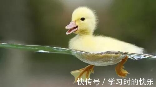 秋裤|当我的老父亲学会网购后，一脚一个坑
