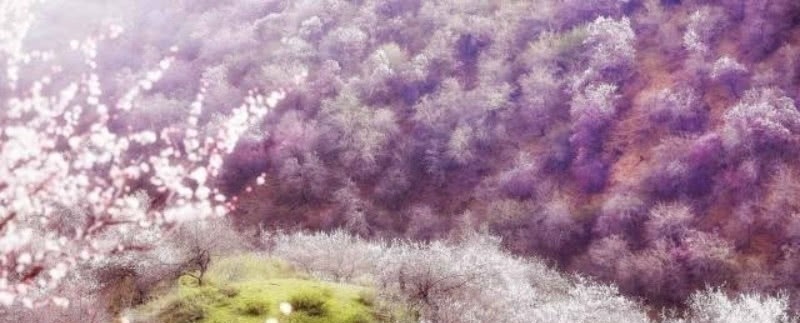 中兴四大$杨万里被严重低估的一首诗,通篇无比的忧愁,读来当真是肝肠寸断