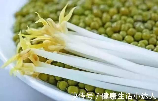 金兰菊根茶|今日大暑,养生好时节,吃三菜,食三瓜,喝三粥,饮三茶