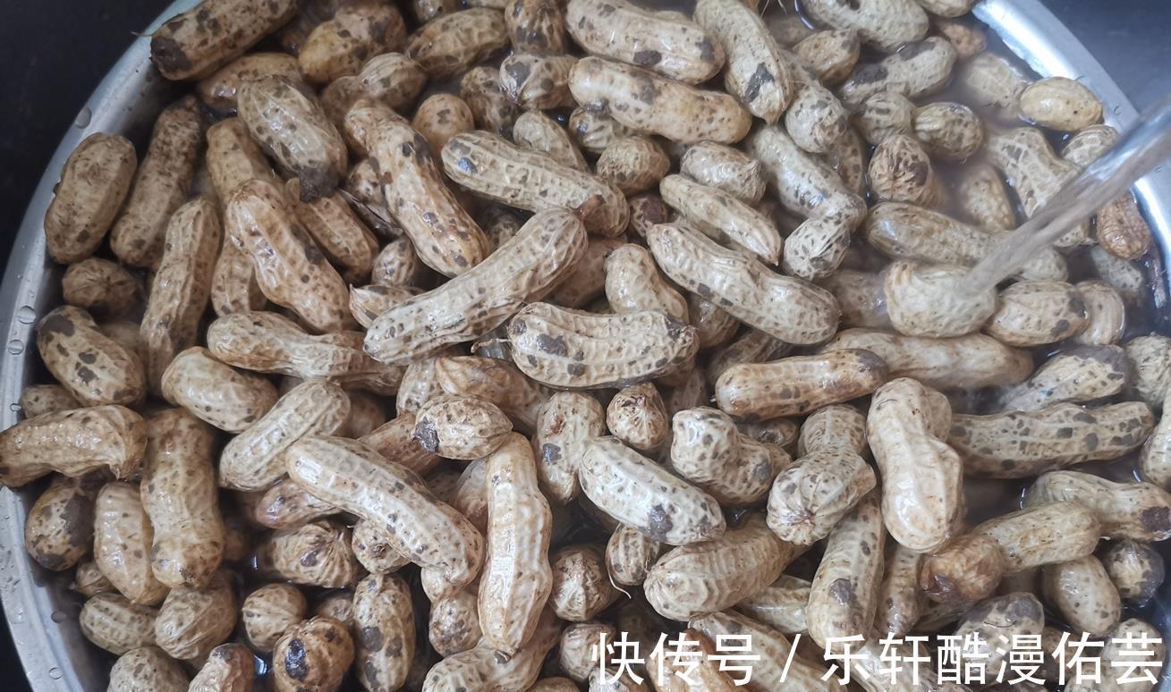 鲜花生|夏天多吃它,这季节正当时,遇到多买些冻到冰箱慢慢吃,特省事