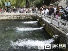 纳客|假期第5日济南24家重点景区纳客27.82万人次