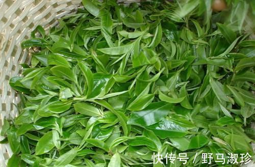 血管堵塞|得了高血脂别担心！5种食物可有效降血脂，让血管干净如新！