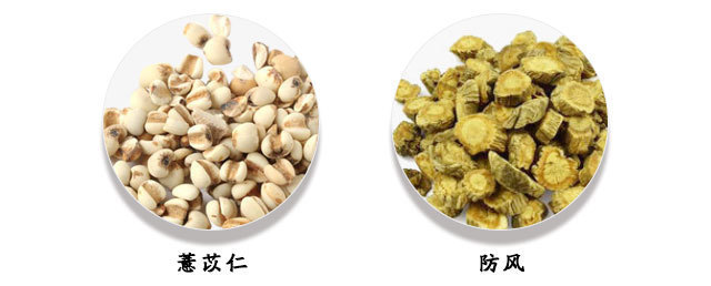 功效|都知薏苡仁的去湿功效好, 可你真知道它的其它功效与禁忌吗?