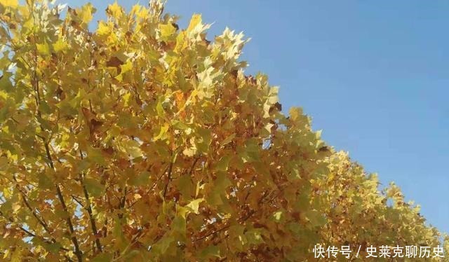 官僚机构|华而不实的文官典范——海瑞