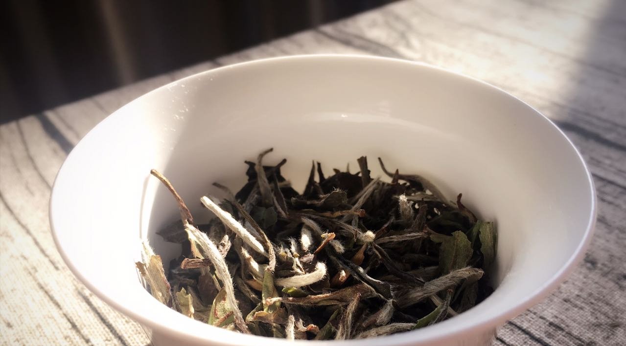  白茶起源于什么时候？ 白茶入门，从这篇文章开始，了解白茶！