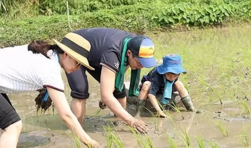 孙子打针奶奶却火了！祖孙俩表情神同步，网友：真是亲孙子