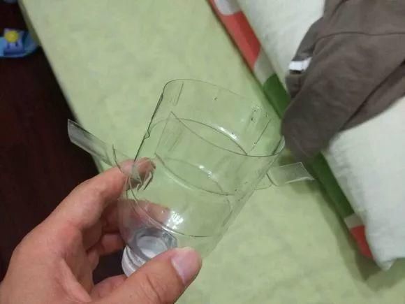 葡萄无花果插在塑料瓶里，2周生根，成活率高，1株变10株！