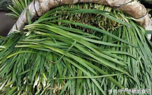 叶韭菜|买韭菜时，挑宽叶还是细叶，菜农：别再挑错了，难吃还浪费钱