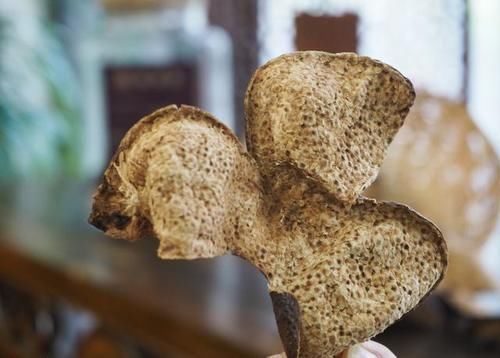 李时珍说一味药同补药则补,同泻药则泻,同升药则升,同降药则降