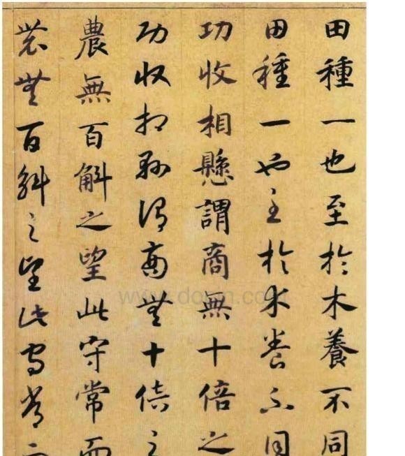 真草千字文$赵构 真草《养生论卷》,用笔润媚圆和,精奥纯正,丰腴圆润不失清逸之气!