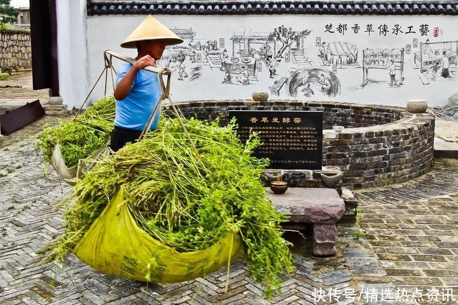 香草|楚国故都 端午飘香