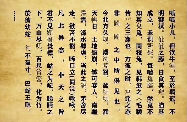 高考作文仅755字，30字老师都不认识，写2000字注释后得满分