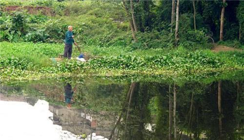 白露|过了白露鲫鱼应该这样钓,就用这种钓法,大鲫鱼手到擒来!