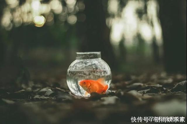 文天祥经典作品《正气歌》,高峰朗诵豪气满怀