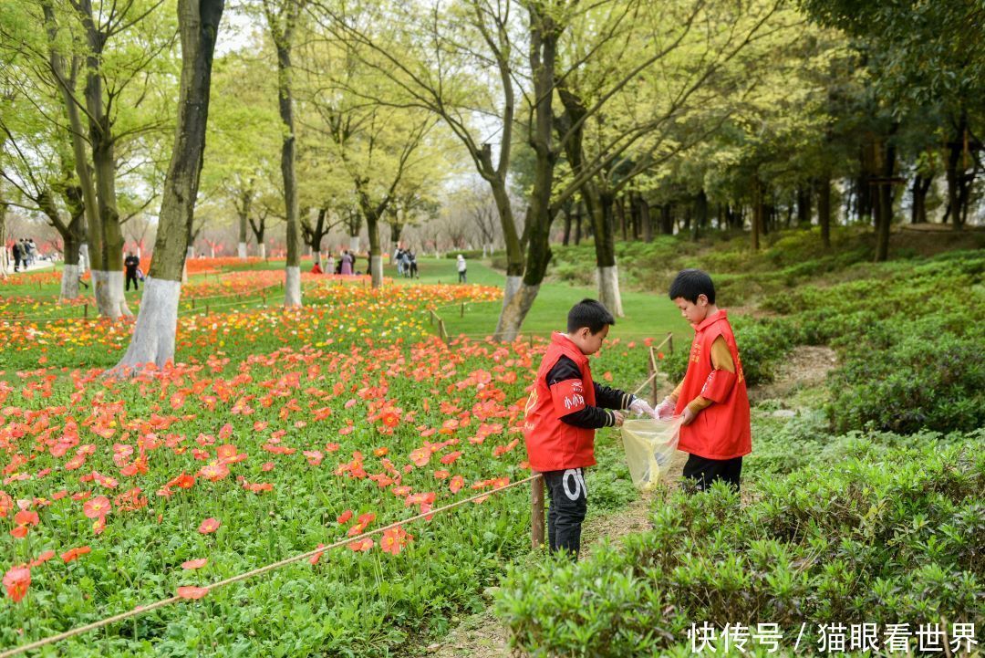 让美景常驻 文明你我他 秀丽东方小小巡查员成景区最亮眼风景线