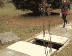 |搞笑GIF：霸气了我的姐 这辈子见过最拉风的走路姿势