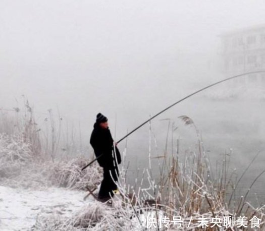 冬季钓鱼饵料有什么技巧？用好这几招，鱼儿排队往这靠