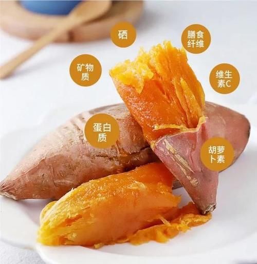 老年人科学的饮食搭配，有益于推迟衰老，健康长寿