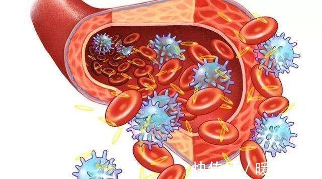 营养物质|大自然的阿司匹林找到了,坚持每天吃一点,血管通畅防血栓!