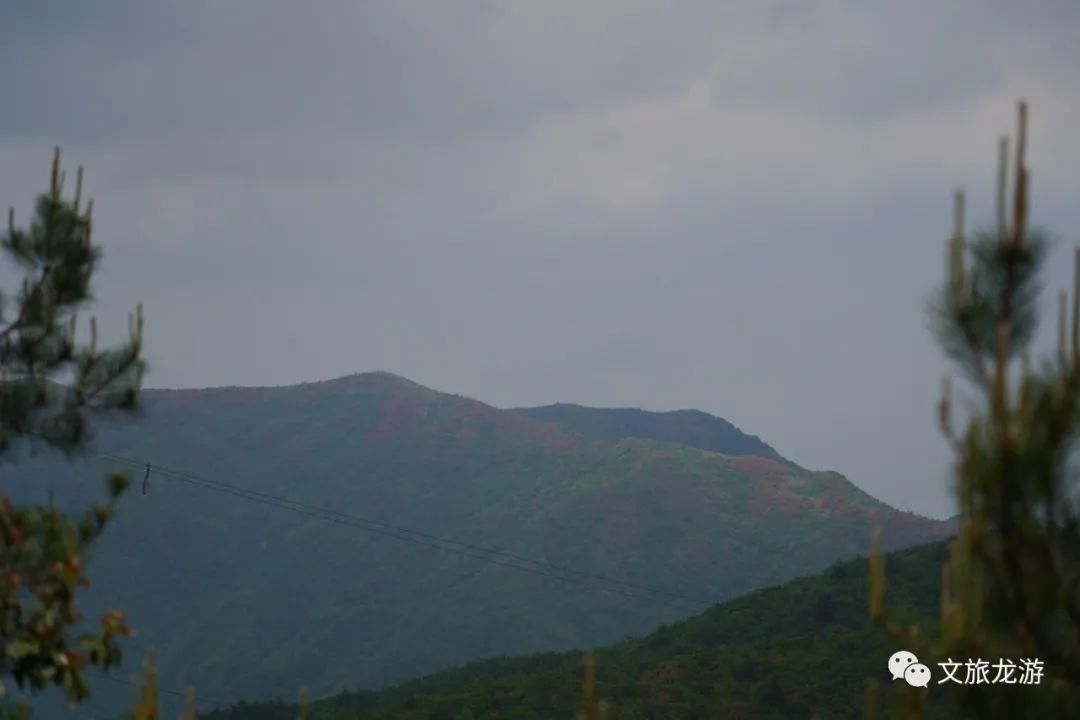 龙山景区|在吗？朋友，一起爬山啊