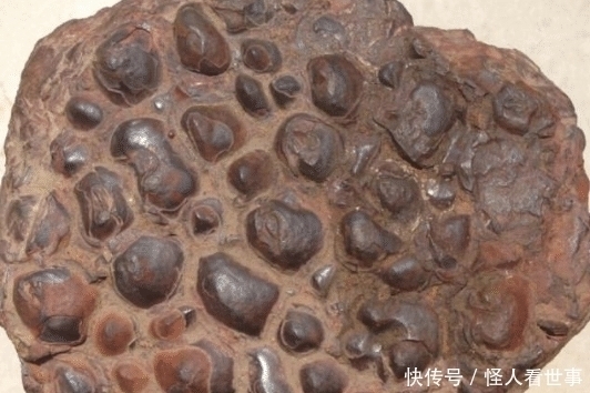 石头|如果在山中见到这样的石头赶紧捡回来,这块才700克,就值两万多