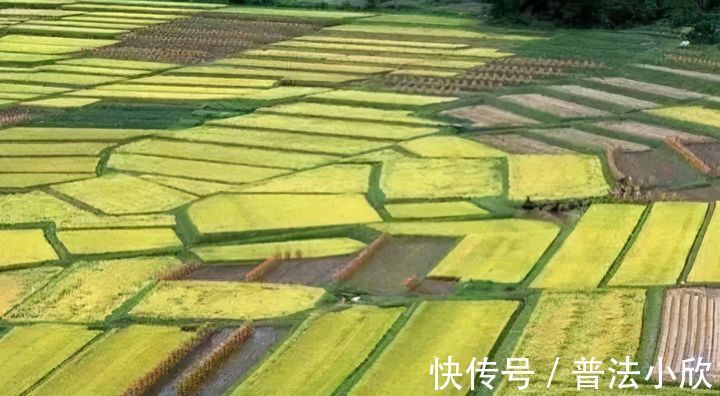 所有权|北京拆迁律师：想要搞清楚土地确权，必须得知道哪些？