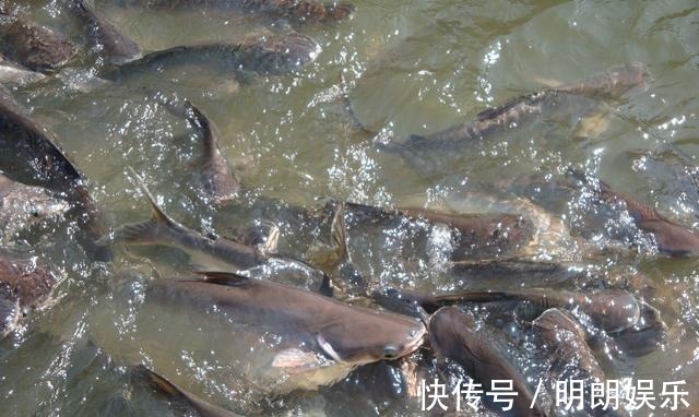 华佗@历史上那些妙不可言的公正对联,你不看看?