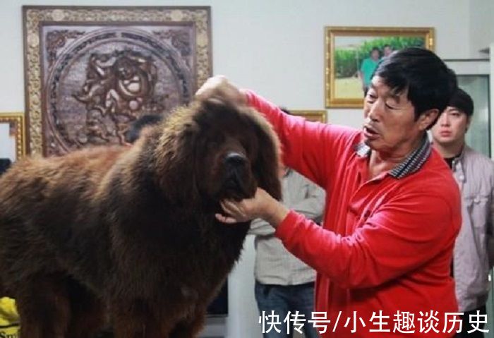 马家军|马家军教练马俊仁：跌下神坛后养狗赚千万，年过70重返俱乐部执教