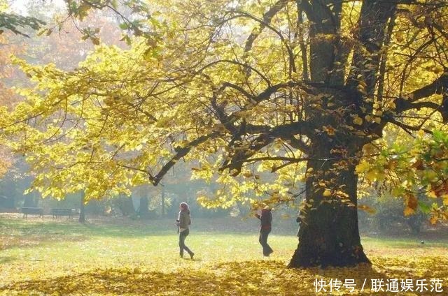 「希音东听德爱声」散文,女儿的诗