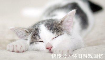 |幽默笑话:大学毕业后,我和发小在同一家公司工作。经过我俩商量