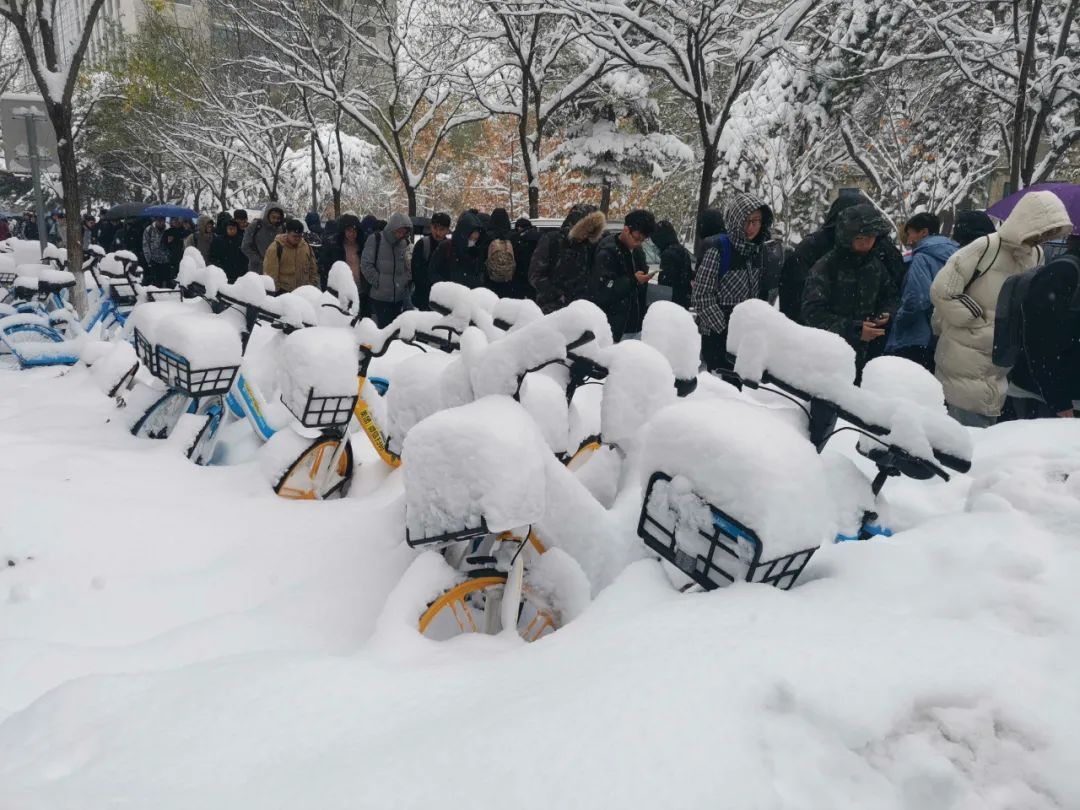 零成本|雪地靠喊找手机、阳台切＂豆腐＂、徒手敲车窗…东北这场罕见暴雪惊了网友