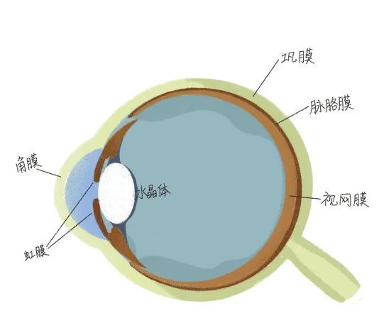 孩子|开学在即，保护视力，爱护眼睛，远离近视