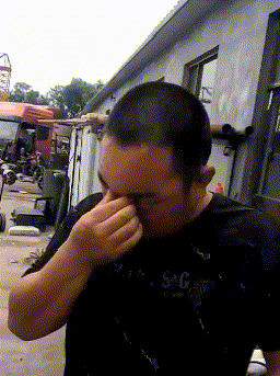 |搞笑GIF趣图:你们成年猫吵架,为啥受伤的总是我!