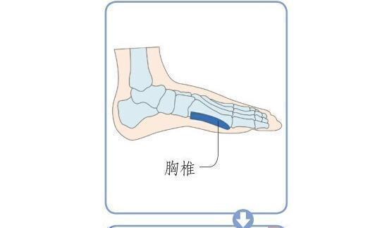 足底|揭秘足底养生密码10个特效反射区,活血通络补五脏,通调全身病
