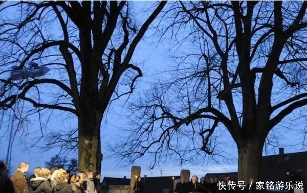 老头|战败前夕，德国小镇的老头殴打了四名德国少年士兵，三人被吊死