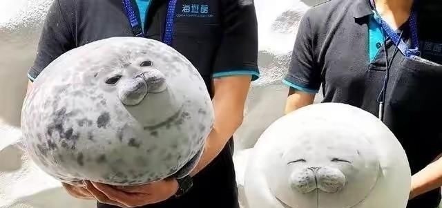 物资|物资宝箱刷新位置,全图共五处,物资堪比空投!