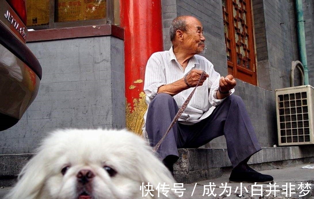 幸福|夫妻选择“丁克”,晚年会过得幸福吗?4位老人说出了大实话