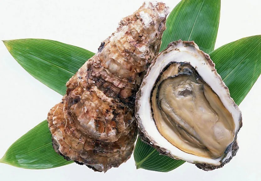 小雪|小雪养生:两清一补 振奋阳气