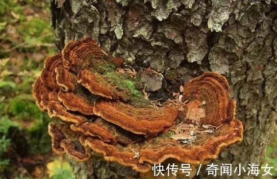 我们每天都在吃的东西,竟然是被国家列入第一致癌清单!