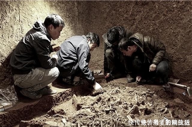 田里挖出一匹金马,发现千年宝藏,他主动上交国家,现成无价之宝