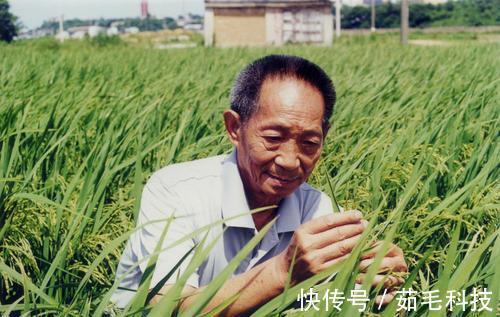 长寿|97岁头发浓密、全身无病痛,国医大师朱南孙的5个长寿秘诀!