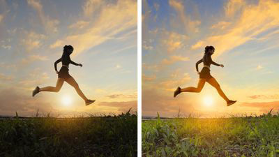 it之家|Adobe 发布 Photoshop Elements 和 Premiere Elements 2022