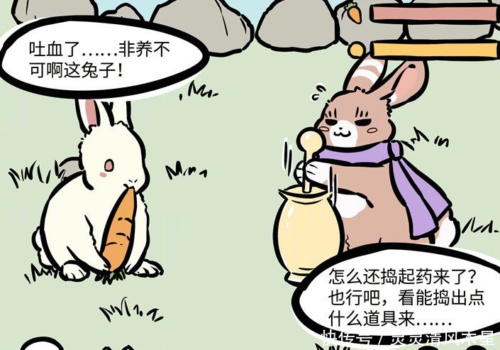 温顺|《非人哉》特别篇怎样饲养一只小玉必须注意一样东西