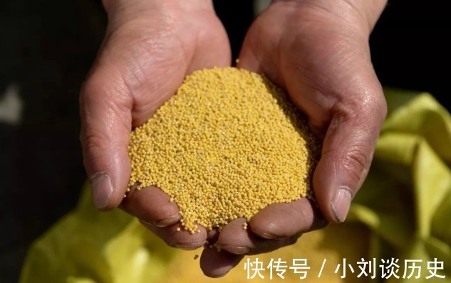 小米粥|立秋后,这3种粗粮建议多吃点,营养美味还不贵,应季而食身体棒