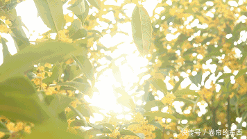 普陀|找到了!这些刷爆普陀人朋友圈的“秋冬限定美食”,哪个是你的心头爱?