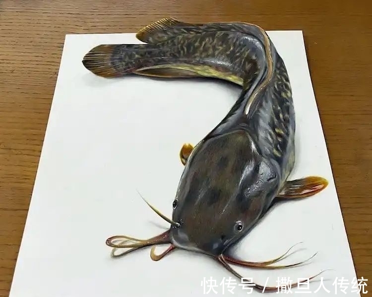 三维动物#纸上有一条鲶鱼,拿起来才发现不对劲,网友:这不是真的?