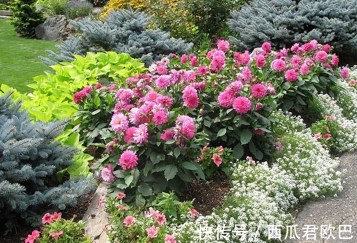 生肖|1月财星入命,事业越来越红火的3大生肖