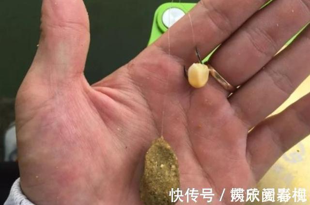 加点面|不打窝怎么钓好鱼?老司机直言:按我说的做,一支竿都钓不过来