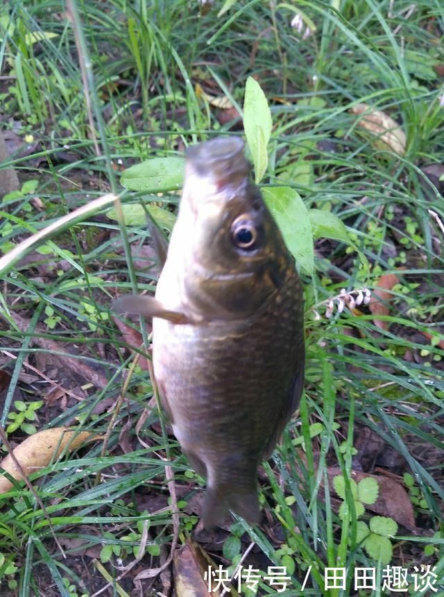 野钓小技巧浮漂做一个小改动,惊鱼几率大降